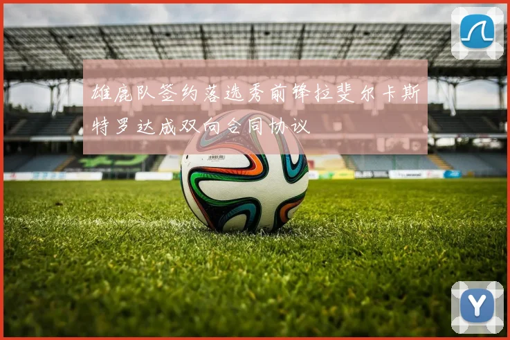 雄鹿队签约落选秀前锋拉斐尔卡斯特罗达成双向合同协议