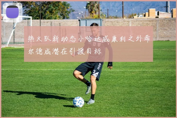 热火队新动态小哈达威康利之外希尔德成潜在引援目标