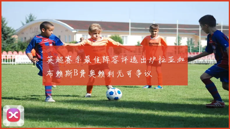 英超赛季最佳阵容评选出炉拉亚加布赖斯B费奥赖利无可争议